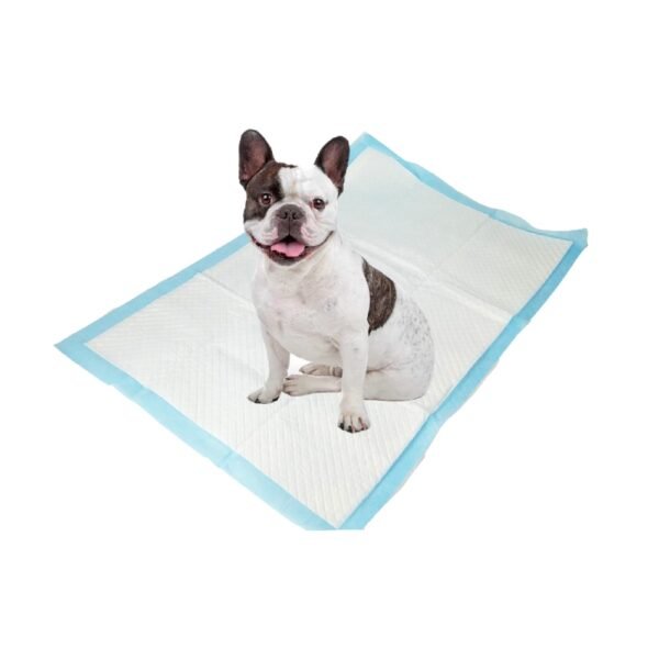 potty pads for dogs