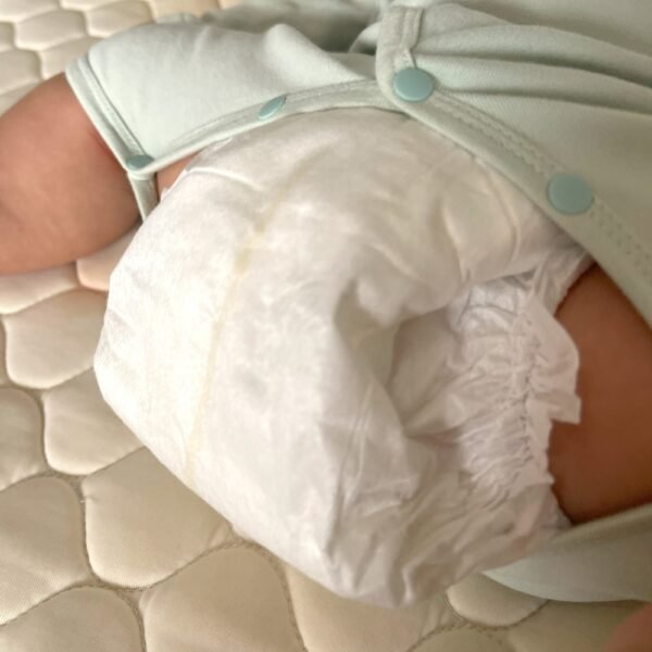 Best All Natural Diapers