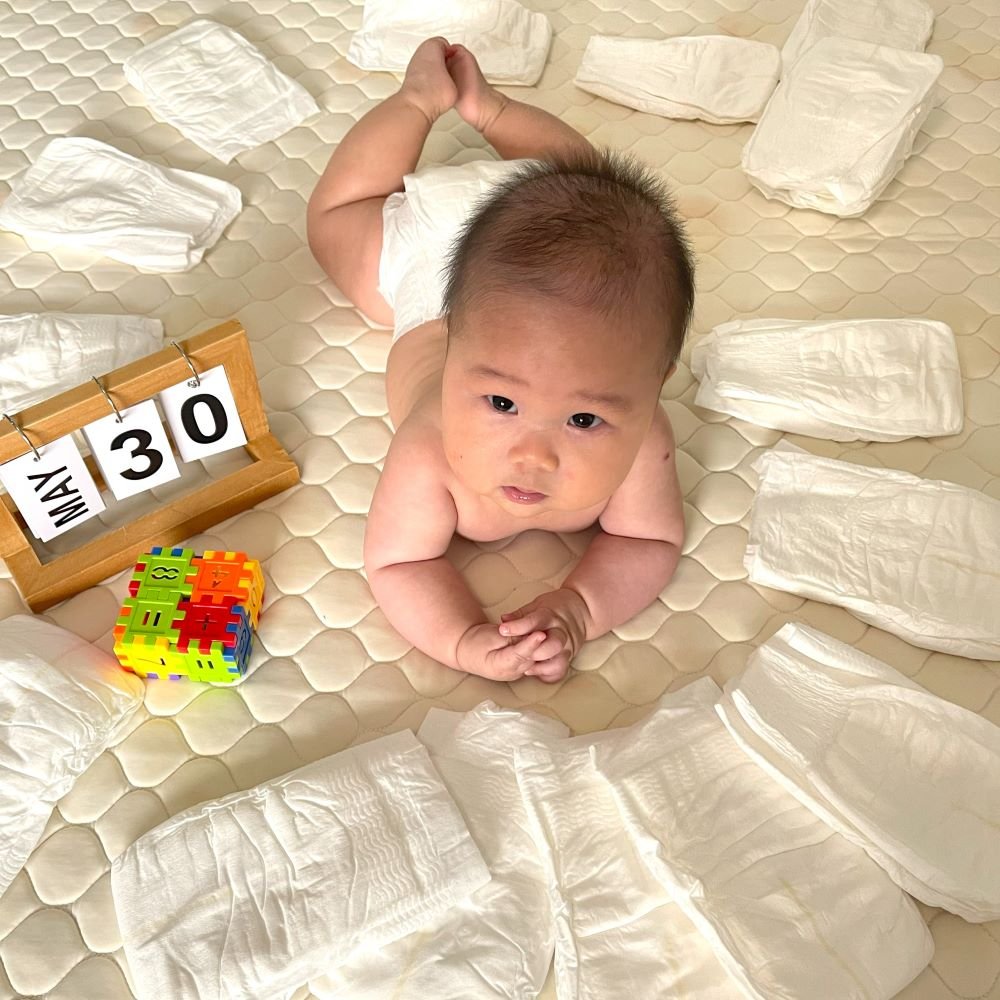 Biodegradable Disposable Diapers