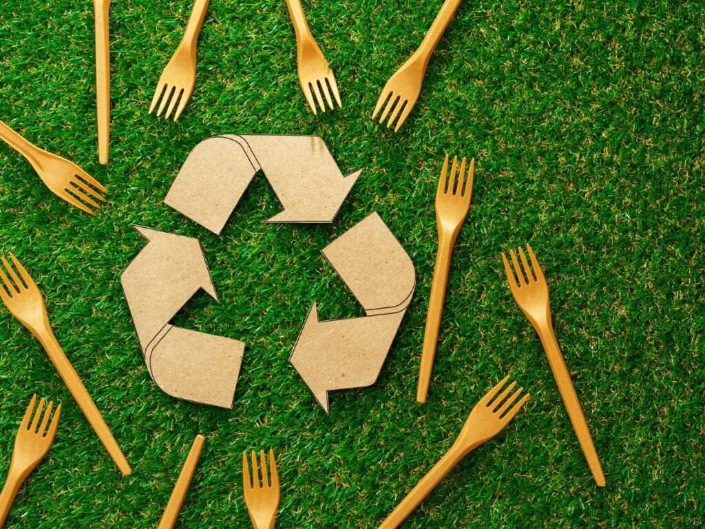 Diapers That Are Good For The Environment
