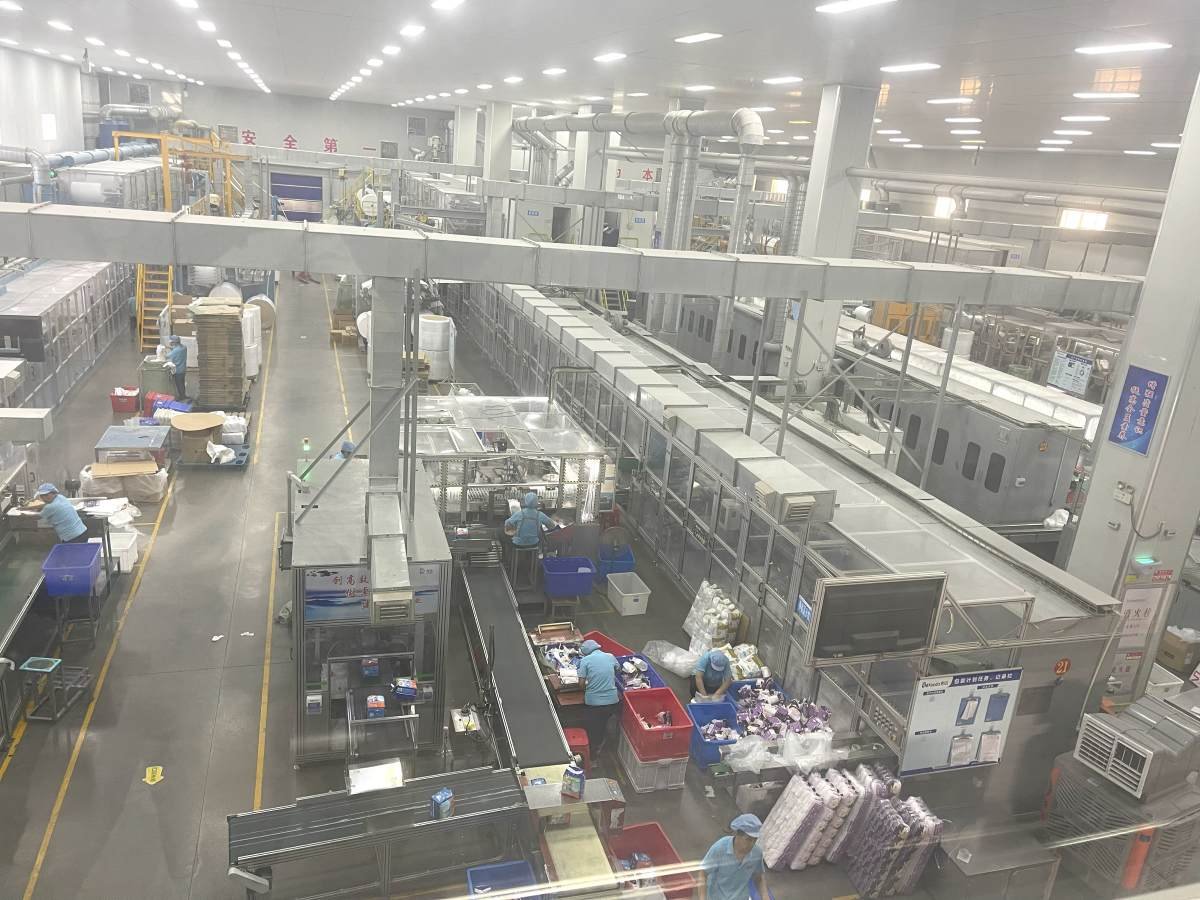 China Disposable Diaper Factory