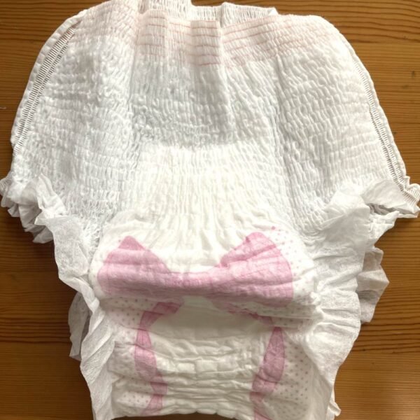 Custom Brand Women's Underwear Disposable Period Pants Manufacturer